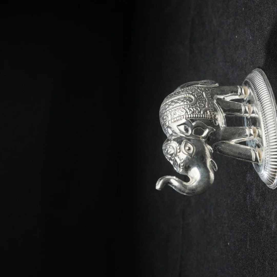 Elephant Design Animal