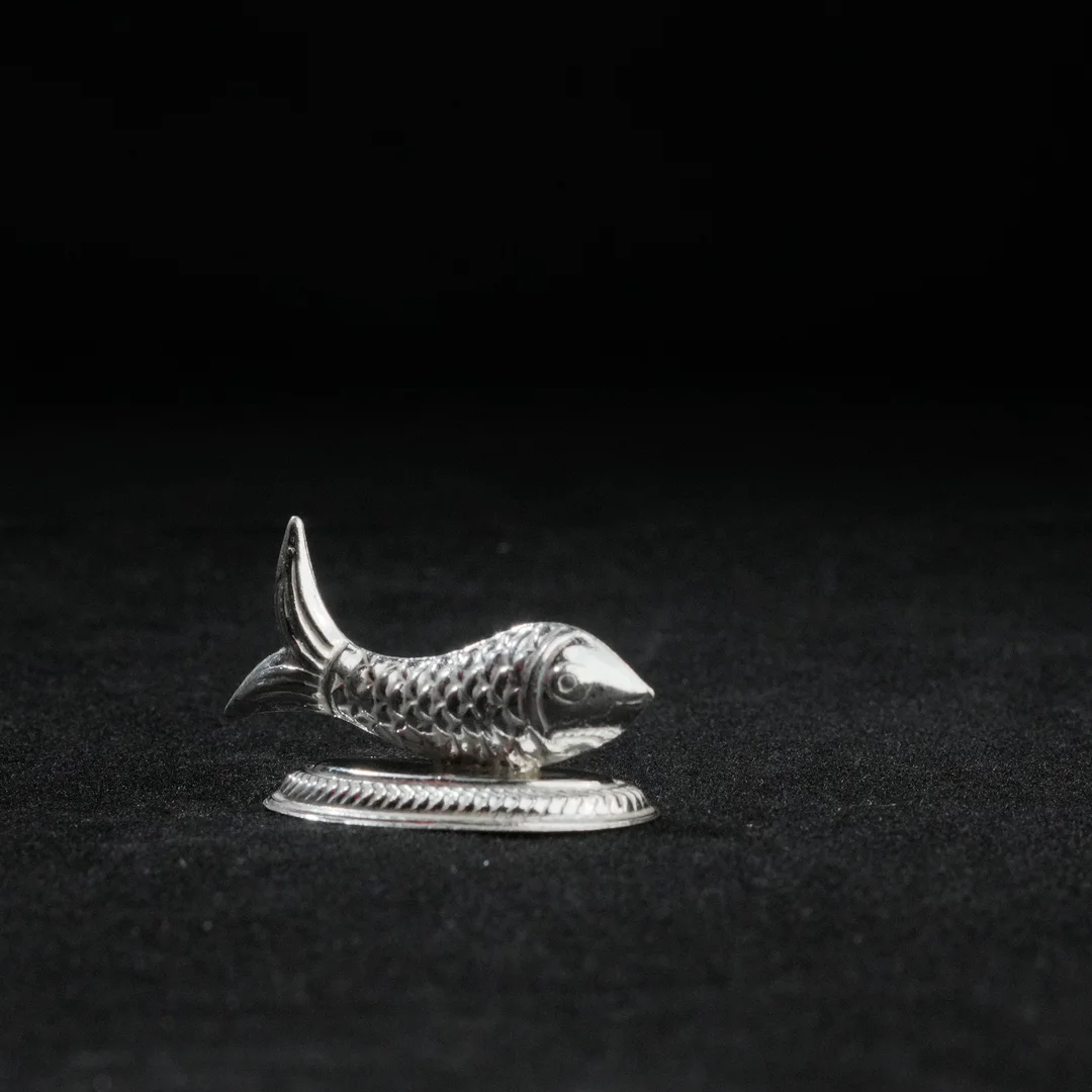 Fish Design Animal