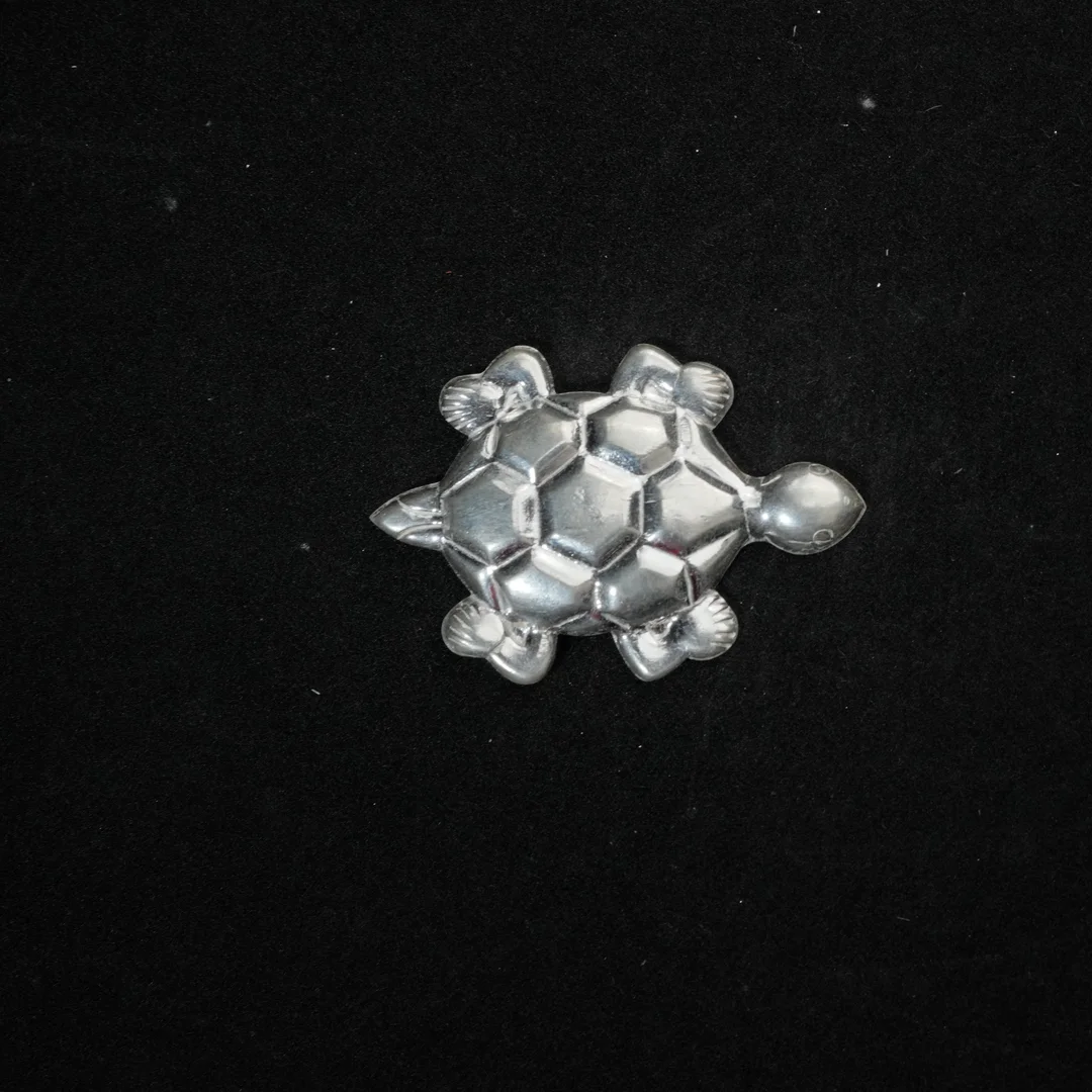 Hexagonal Turtle Design Animal