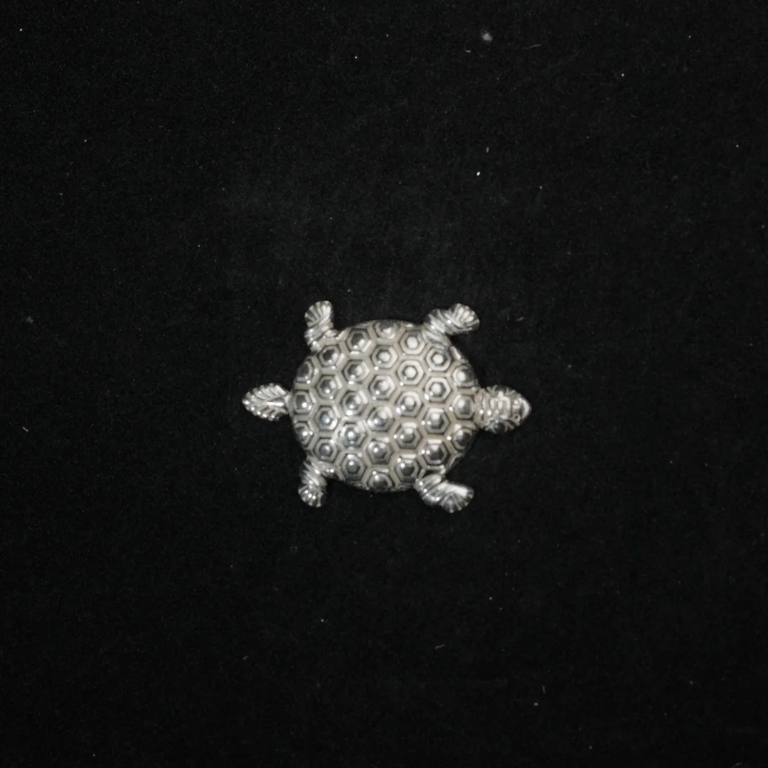 Double Hexagonal Turtle Design Animal