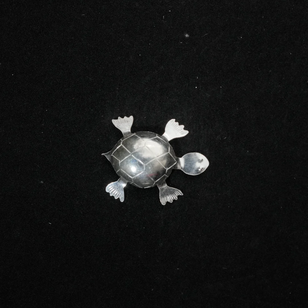 Simple Turtle Design Animal