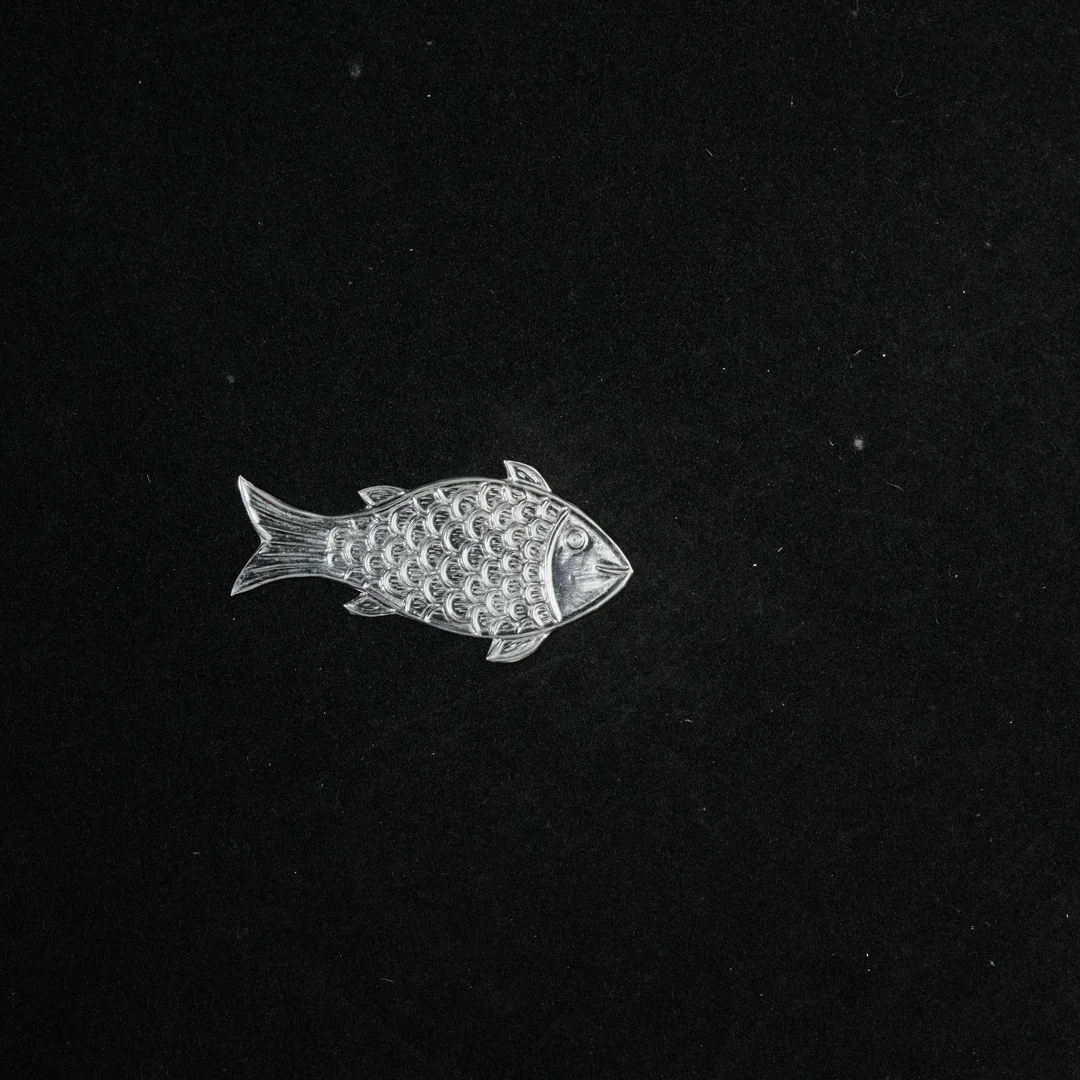 Standless Fish Design Animal
